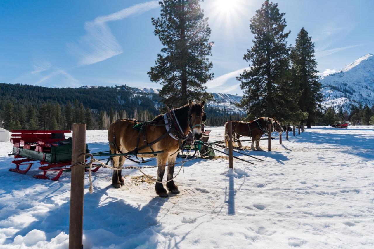 Icicle Village Resort 508: Alpine Aurora เลเวนเวิร์ท ภายนอก รูปภาพ